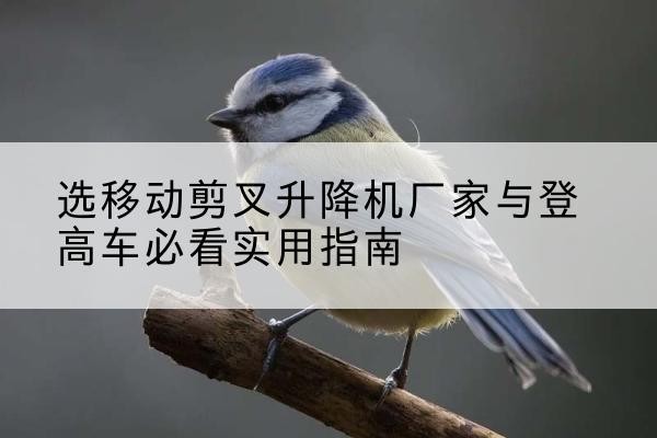 崇礼电动升降机厂家-选移动剪叉升降机厂家与登高车必看实用指南