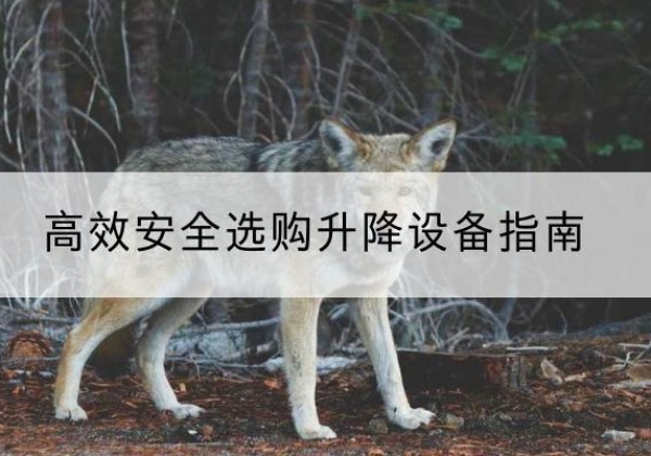 崇礼升降货梯厂家推荐-*安全选购升降设备指南